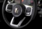 TANK 300 car interior